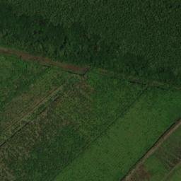 Satellite imagery of Pomeroon Point, GY