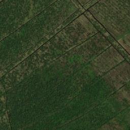 Satellite imagery of Pomeroon Point, GY