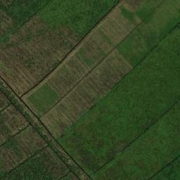 Satellite imagery of Pomeroon Point, GY