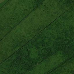 Satellite imagery of Pomeroon Point, GY