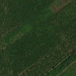 Satellite imagery of Pomeroon Point, GY