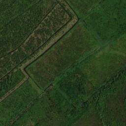 Satellite imagery of Pomeroon Point, GY