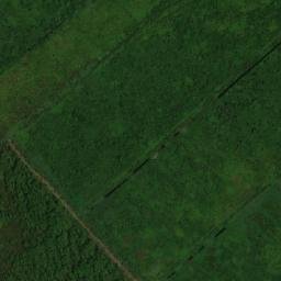 Satellite imagery of Pomeroon Point, GY