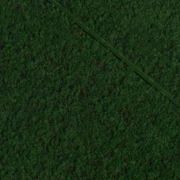 Satellite imagery of Bird Point, GY