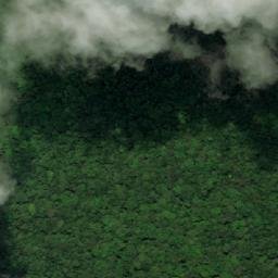 Satellite imagery of Tassawini Mine, GY