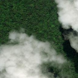 Satellite imagery of Tassawini Mine, GY
