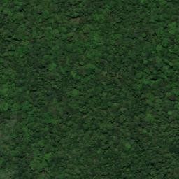 Satellite imagery of Tassawini Mine, GY