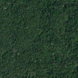 Satellite imagery of Alto Cenizo, CO