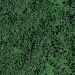Satellite imagery of Murray Point, IN
