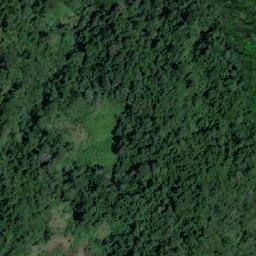 Satellite imagery of Cerro Carmelo, CO