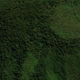 Satellite imagery of Alto El Oso, CO