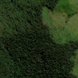 Satellite imagery of Alto El Oso, CO