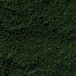 Satellite imagery of Alto Morrón, CO