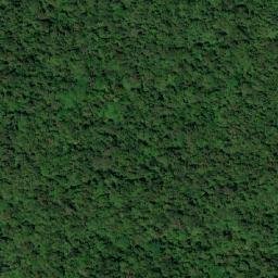 Satellite imagery of Alto Buenavista, CO