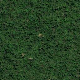 Satellite imagery of Alto Buenavista, CO