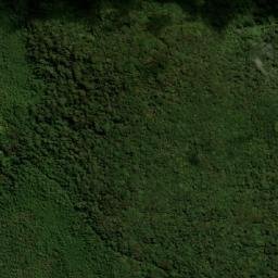 Satellite imagery of Alto El Oso, CO