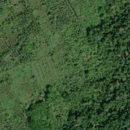 Satellite imagery of Tara Point, IN