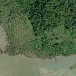 Satellite imagery of Tara Point, IN
