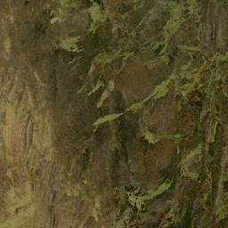 Satellite imagery of Cuchilla de la Choque, CO