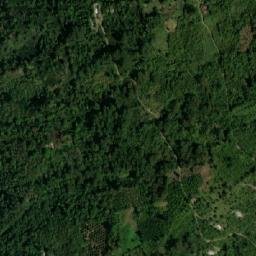 Satellite imagery of Alto Palo Grande, CO