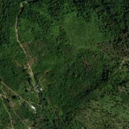 Satellite imagery of Alto Palo Grande, CO