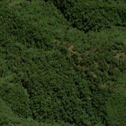 Satellite imagery of Cerro Gacho, CO