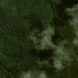 Satellite imagery of Alto Pringamozal, CO