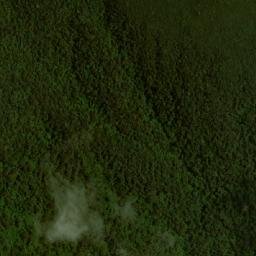 Satellite imagery of Alto Pringamozal, CO