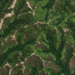 Satellite imagery of Cerro La Reina, CO