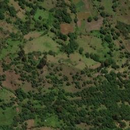 Satellite imagery of Alto Los Cacaos, CO