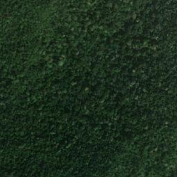 Satellite imagery of survey_point, MY