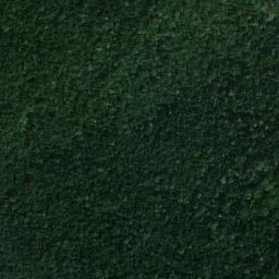 Satellite imagery of survey_point, MY