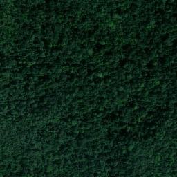 Satellite imagery of survey_point, MY