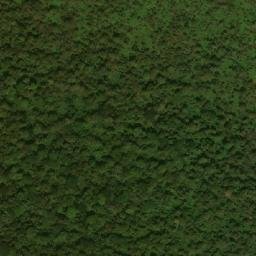 Satellite imagery of Kaga Bahera, CF