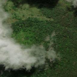 Satellite imagery of Cerro de la Guacamaya, CO