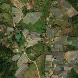 Satellite imagery of Alto del Carmen, CO