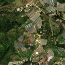 Satellite imagery of Alto del Carmen, CO