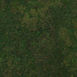 Satellite imagery of Alto Careperro, CO