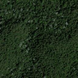 Satellite imagery of Loma La Florida, CO