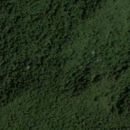 Satellite imagery of Loma La Florida, CO