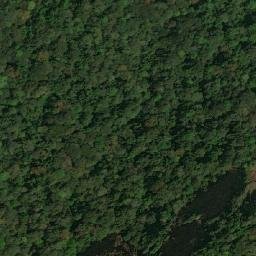 Satellite imagery of Mfanya, CM
