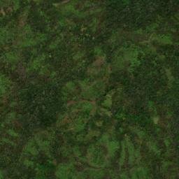 Satellite imagery of Alto Erizo, CO