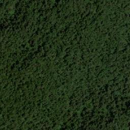 Satellite imagery of Loma La Florida, CO