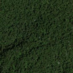 Satellite imagery of Loma La Florida, CO