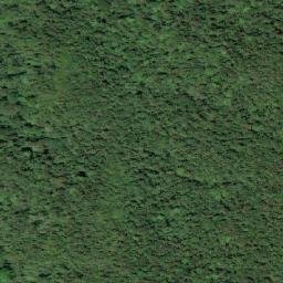 Satellite imagery of Cerro Piedragorda, CO