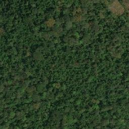 Satellite imagery of Mfanya, CM