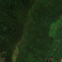 Satellite imagery of Alto Palo Blanco, CO