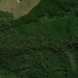 Satellite imagery of Alto Careperro, CO