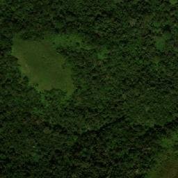 Satellite imagery of Nshia, CM
