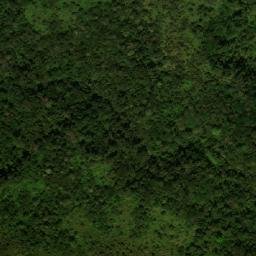 Satellite imagery of Nshia, CM